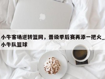 九游娱乐-小牛客场逆转篮网，晋级季后赛再添一把火_小牛队篮球